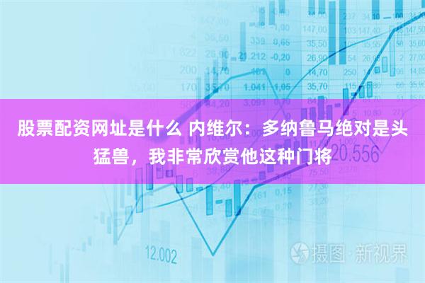 股票配资网址是什么 内维尔：多纳鲁马绝对是头猛兽，我非常欣赏他这种门将